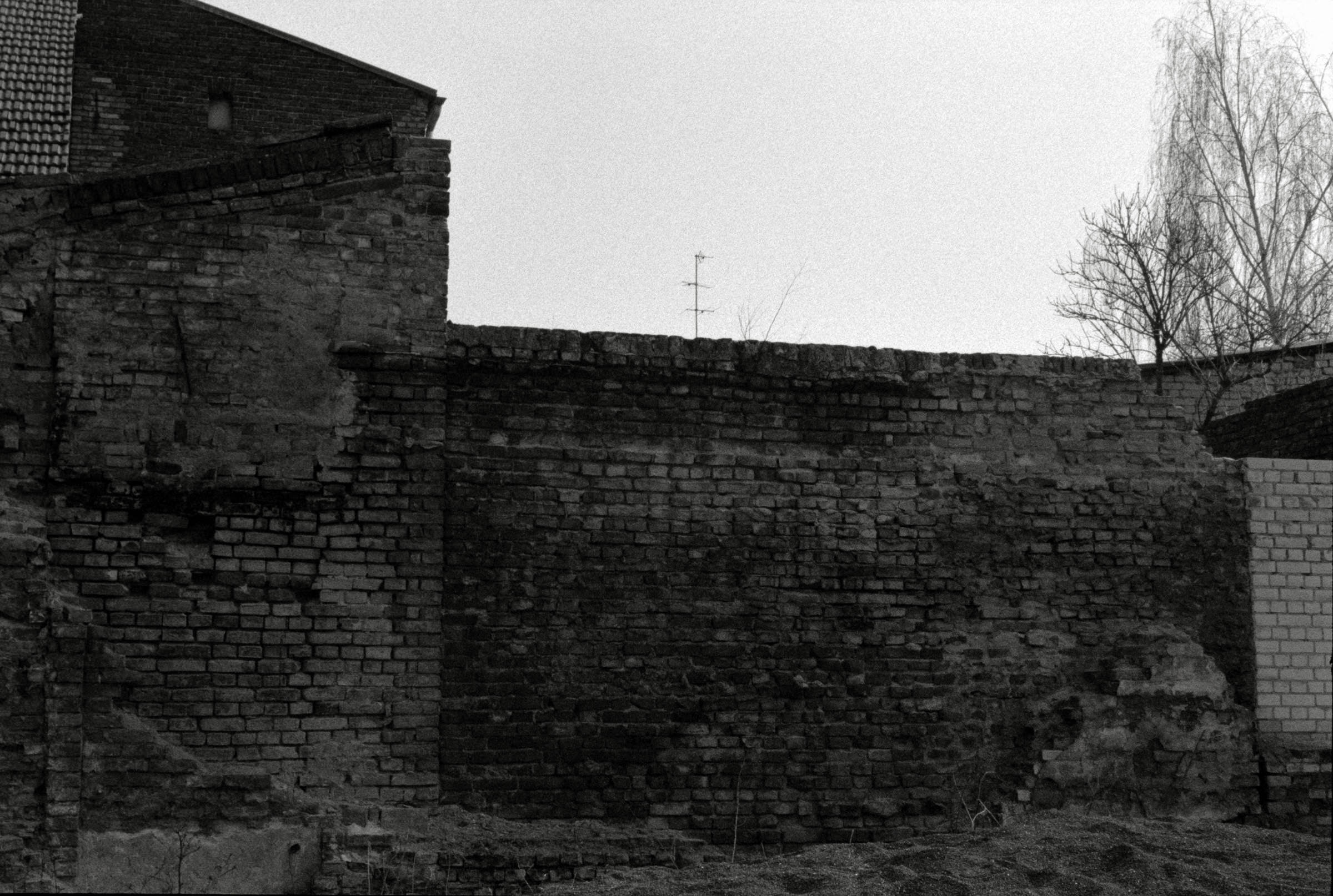 AHP F1993 03 004 sc240902 img18 NLP